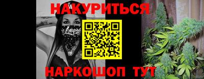 мдма Камышлов